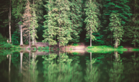 Clearwater Clearwater