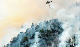 extinguishing extinguishing