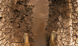 iklm213123 iklm213123