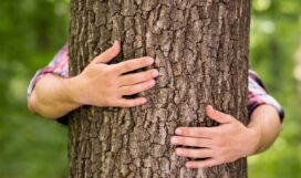 Taking energy from tree. Close-up of male hands hugging tree Taking energy from tree. Close-up of male hands hugging tree