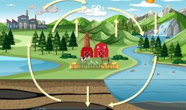 Carbon cycle diagram with nature farm landscape Carbon cycle diagram with nature farm landscape illustration