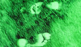 two-footprints-in-the-green-and-black-colored-san-2021-08-30-22-04-31-utc two-footprints-in-the-green-and-black-colored-san-2021-08-30-22-04-31-utc